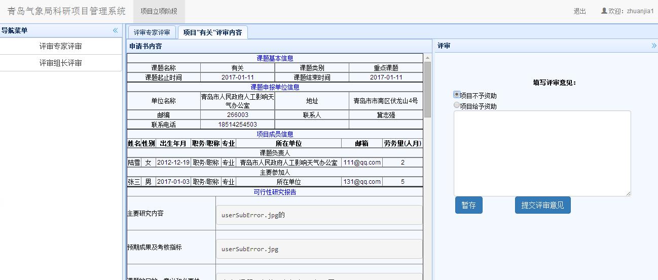 专家评审意见