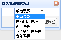 课题类型